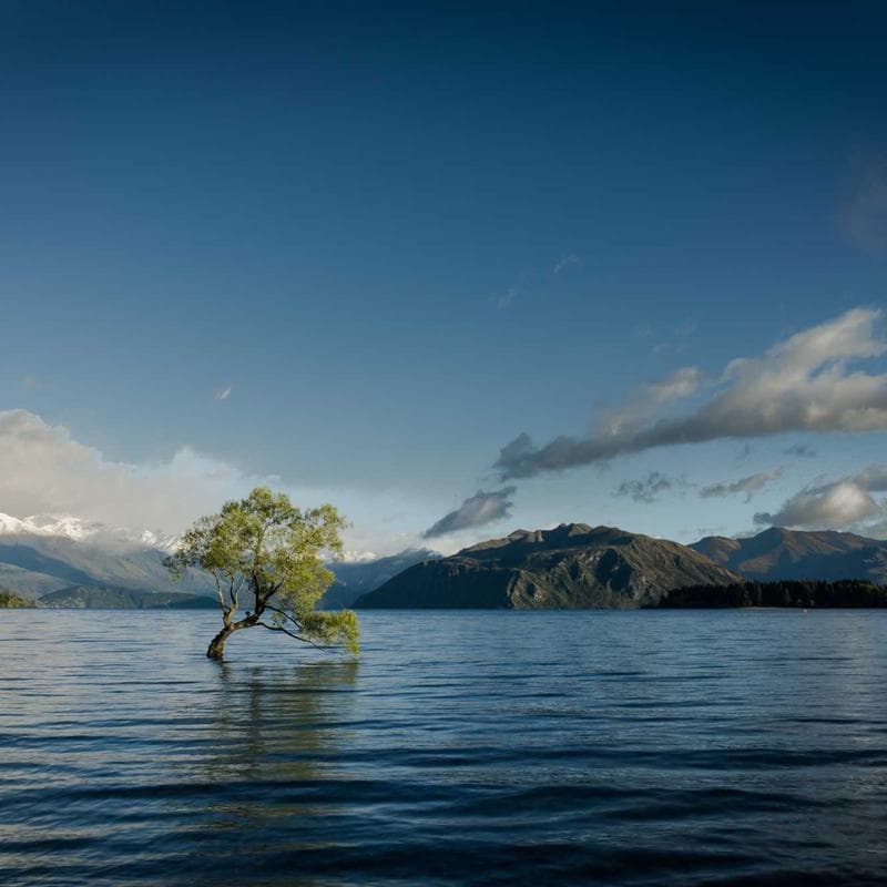 Cafetera moka italiana 6 tazas aluminio