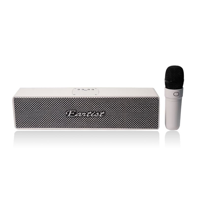 Factory Customizable Independent Microphone Bluetooth Speaker With Built-in Karaoke Function