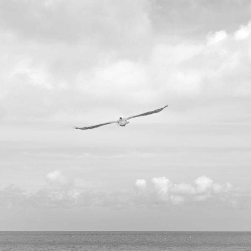 Funda silicona para iPhone 15 pack x10