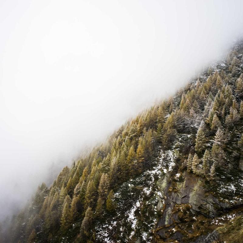 Masajeador eléctrico cuello y espalda Shiatsu