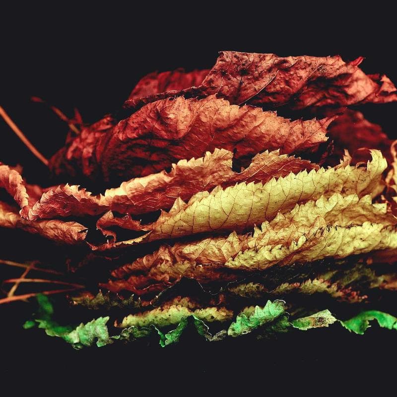 Parlante portátil JBL-style 10W IPX7