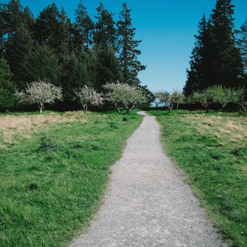 Set de cuchillos cocina 6 piezas + taco