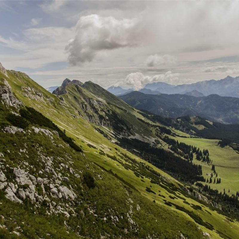 Compresor de aire portátil 12V digital