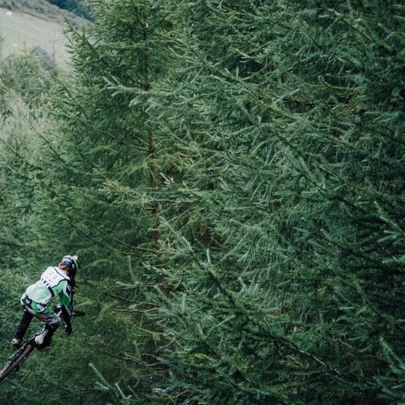 Etiquetadora térmica USB 300DPI