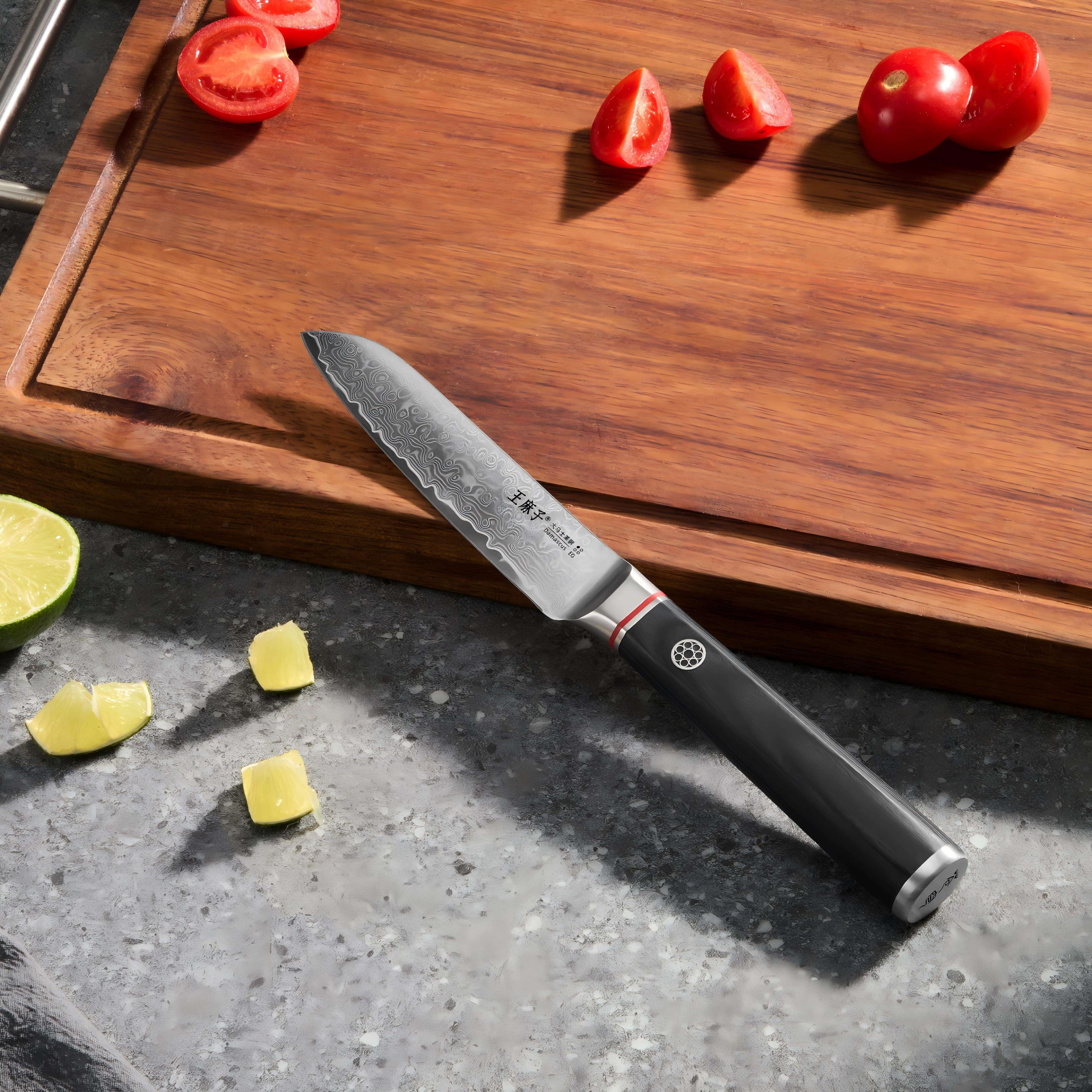 Wangmazi Gift Box Packaging 4-Inch Pakka Wood Damascus Steel Multi-Functional Kitchen Knife Paring Knife Sheath Ambidextrous